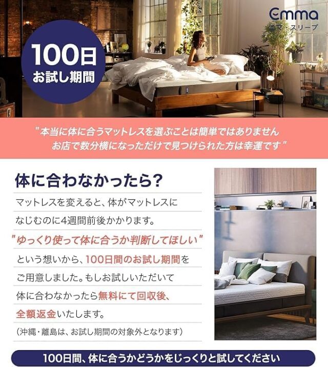 エマ・オリジナルV2 【100日お試し】体圧分散 厚み22cm 100日お試し 10年保証 フォーム・コイル融合 (シングル)
