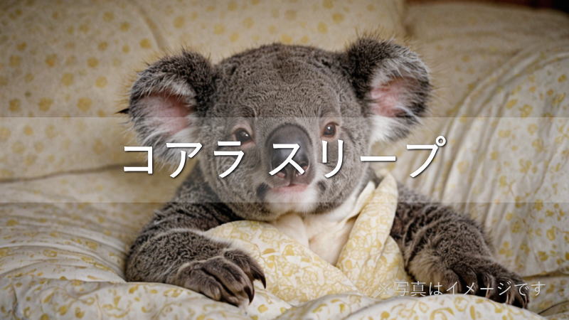 コアラ・スリープのマットレスの特徴