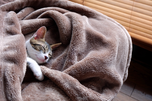 毛布・イメージ