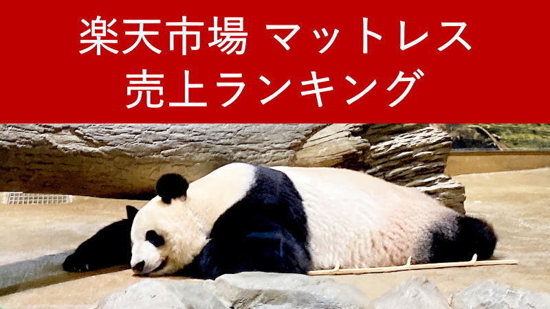 楽天市場マットレス売上ランキングTOP20