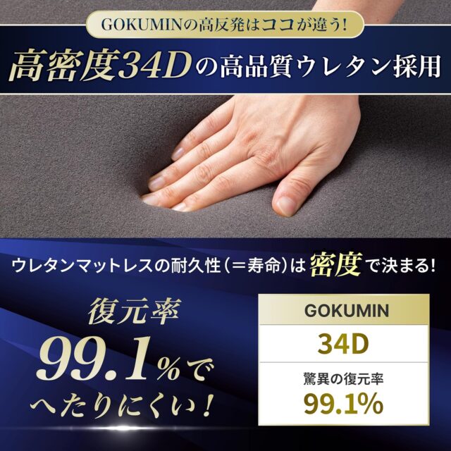 GOKUMIN マットレス 【 高反発 180N 250N 2層構造グランマットレス】 厚さ10cm 三つ折り ベッドマット 敷布団 硬め 折りたたみ 凸凹加工 高密度 34D 極眠 (シングル/ブラック) gmw